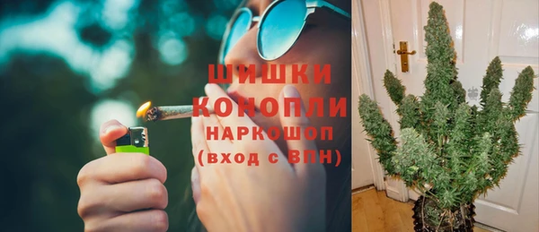 сатива Алагир