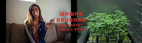 твердый Ладушкин