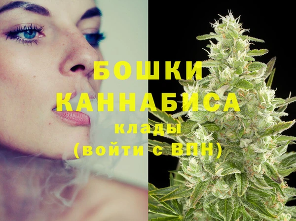 твердый Ладушкин