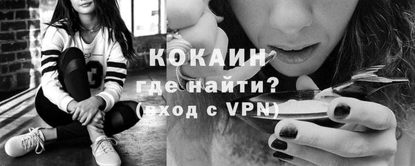 прущие крисы Кулебаки