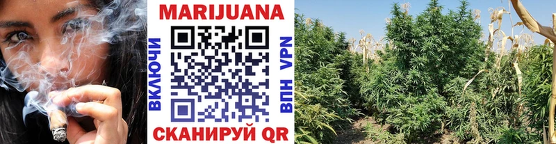 Бошки Шишки SATIVA & INDICA  Новоаннинский 